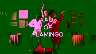 Very.co.uk Welcome to Haus of Flamingo Partywear Ad Commercial Brand Imagery Photoshoot 0