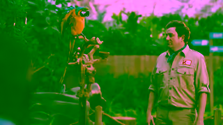 BMO Financial Parrot Ad Commercial Brand Imagery Photoshoot 1