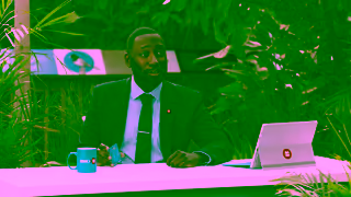 BMO Financial Parrot Ad Commercial Brand Imagery Photoshoot 2