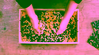 Warby Parker Wow Warby Parker Ad Commercial Brand Imagery Photoshoot 1