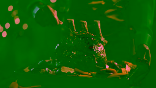 Lurpak UKLurpakWIDJCChristmasvid20secspark v1 Ad Commercial Brand Imagery Photoshoot 2