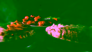 Applebee's It could be just the two of us enjoying the 2 for 25 Ad Commercial Brand Imagery Photoshoot 0