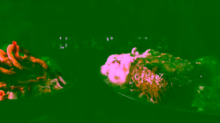 Applebee's It could be just the two of us enjoying the 2 for 25 Ad Commercial Brand Imagery Photoshoot 1