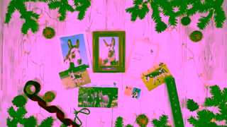 The Donkey Sanctuary Q4 Adoptions 15 sec stop motion Ad Commercial Brand Imagery Photoshoot 0