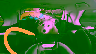 AMI AMI 15sec 15mbps Online Growing Families Ad Commercial Brand Imagery Photoshoot 2