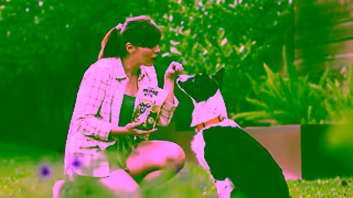 Purina Purina PrimeTM Unleash The Taste of Adventure Ad Commercial Brand Imagery Photoshoot 1