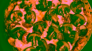 Australian Mushrooms Get More Mmmm Pizza 15 Ad Commercial Brand Imagery Photoshoot 0