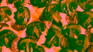 Australian Mushrooms Get More Mmmm Pizza 15 Ad Commercial Brand Imagery Photoshoot 1