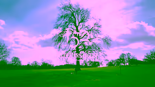 Audemars Piguet envideo15shero1 Ad Commercial Brand Imagery Photoshoot 2