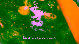 Riverford Organic Farmers 16x9 Sprouts Ad Commercial Brand Imagery Photoshoot 2