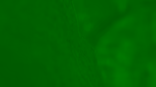 Visit Japan 1Through a Day on AmamiOkinawa World Natural Heritage in Japan Ad Commercial Brand Imagery Photoshoot 0