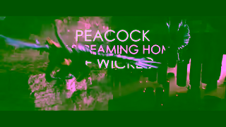 Peacock Wicked Streaming Now Only on Peacock Ad Commercial Brand Imagery Photoshoot 1