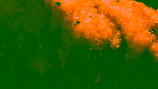 McDonalds McCrispy Strips Bye Bye Bun Ad Commercial Brand Imagery Photoshoot 0