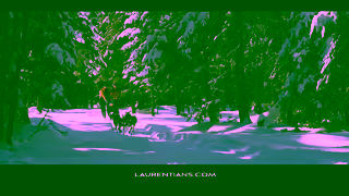 Tourisme Laurentides Winter energy winter 20242025 Ad Commercial Brand Imagery Photoshoot 2