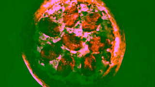 Dr. Oetker Video Ad Ad Commercial Brand Imagery Photoshoot 0