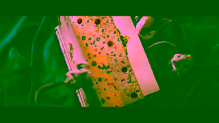 Disney Disneys Snow White Celebration 15 Now Streaming on Disney Ad Commercial Brand Imagery Photoshoot 0