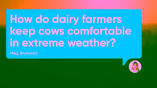 Dairy Australia From fires to floods how do dairy farmers care for cows in extreme weather Ad Commercial Brand Imagery Photoshoot 0