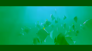 Sunsail Generic Campaign Sunsail Ad Commercial Brand Imagery Photoshoot 2