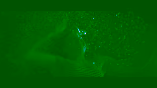 Universal Pictures Night Swim In theaters January 5 TV SPOT 50A Ad Commercial Brand Imagery Photoshoot 2