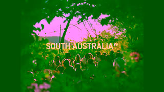 South Australia Travel The Simple Pleasures of a Long Long Lunch Ad Commercial Brand Imagery Photoshoot 2
