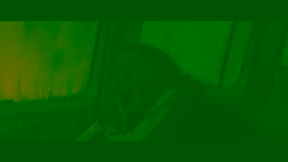 Universal Pictures Wolf Man Only in Theatres January 17 Hurry TOS Ad Commercial Brand Imagery Photoshoot 2