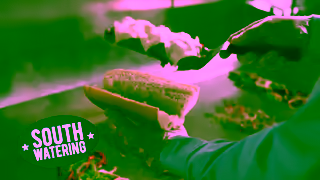 Jersey Mike's Subs Jersey Mikes New Smoky Southwestern Cheese Steak Ad Commercial Brand Imagery Photoshoot 1