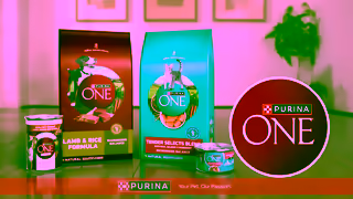 Purina Video Ad Ad Commercial Brand Imagery Photoshoot 2