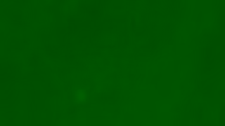 Pukka Herbs A good night starts with Pukka Night Time tea Ad Commercial Brand Imagery Photoshoot 0