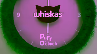 Whiskas Its Purr OClock Ad Commercial Brand Imagery Photoshoot 1