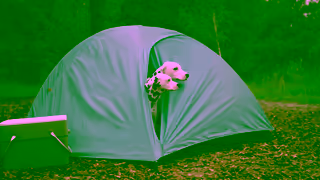 Subaru Subaru Dog Tested Glamping Trip Ad Commercial Brand Imagery Photoshoot 1
