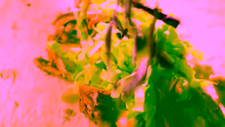 Taco Bell All Day Burrito Cantina Chicken Menu Commercial Taco Bell Ad Commercial Brand Imagery Photoshoot 1