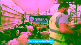 MATW Qurbani in Gaza Begins Long Before Eid Support the Ones Who Protect It Ad Commercial Brand Imagery Photoshoot 0