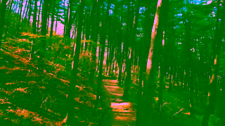 Visit Korea Talking City Gapyeong The city of Inspiration ThecityinKorea Gapyeong Ad Commercial Brand Imagery Photoshoot 0