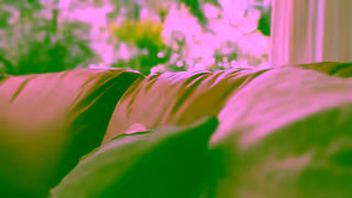 Lounge Lovers Leather Sofas Lounges Collection Lounge Lovers Ad Commercial Brand Imagery Photoshoot 0