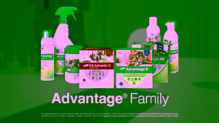 Elanco The Advantage Family Dead Serious About Pest Protection Ad Commercial Brand Imagery Photoshoot 2