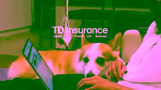 TD Insurance 25ININGVBuyOnline06sENVID16x9ALLmp4 Ad Commercial Brand Imagery Photoshoot 1