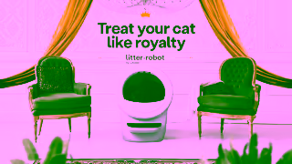 LitterRobot UK Royalty 10s Ad Commercial Brand Imagery Photoshoot 1