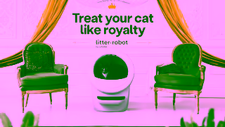 LitterRobot UK Royalty 10s Ad Commercial Brand Imagery Photoshoot 2