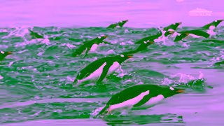Scenic Scenic Eclipse Antarctica TVC 30sec Digital Ad Commercial Brand Imagery Photoshoot 1