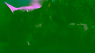 Motel 6 Viajando Por Carretera Con Mascotas Ad Commercial Brand Imagery Photoshoot 2