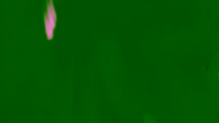 Intuit Sophias Story of Financial Freedom Ad Commercial Brand Imagery Photoshoot 1