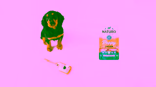 NATURO Pet Foods Dogs dont care what they eat Naturo Do Ad Commercial Brand Imagery Photoshoot 2