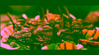 Australian Lamb Christmas lamb cutlet salad 6 Say More With Lamb Ad Commercial Brand Imagery Photoshoot 1