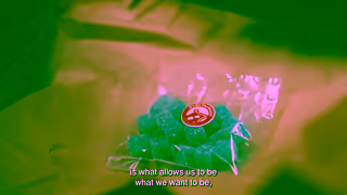 Canada Post PEN Video Testimonial CFH REACH V16x9 15s EN Ad Commercial Brand Imagery Photoshoot 1