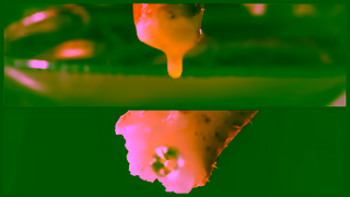 Red Lobster If youre open to seafood were open Pull up for your favourites Cheddar Bay Biscuits Ad Commercial Brand Imagery Photoshoot 1