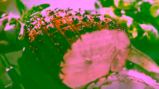 Countdown Countdown Under Way Ad Commercial Brand Imagery Photoshoot 2