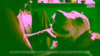 Elanco Make Your Dog a Quattro Dog Ad Commercial Brand Imagery Photoshoot 0