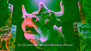 Jordans Cereals Jordans Bursting with Bite Country Crisp and Popped Oat Crunch Ad Commercial Brand Imagery Photoshoot 2