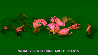 Lurpak Lurpak Plant 15s Ad Commercial Brand Imagery Photoshoot 1