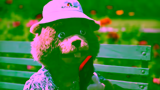 GolfNow 9 Holes with the GolfNow Gopher Ad Commercial Brand Imagery Photoshoot 1